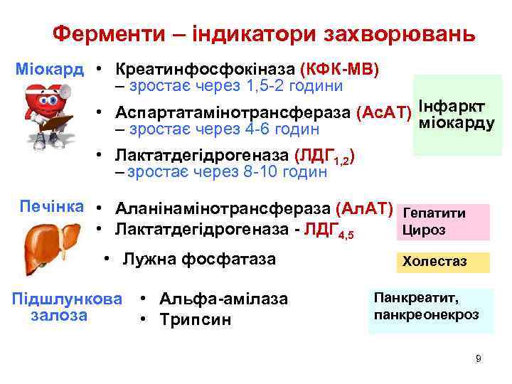 Ферменти – індикатори захворювань Міокард • Креатинфосфокіназа (КФК-МВ) – зростає через 1, 5 -2