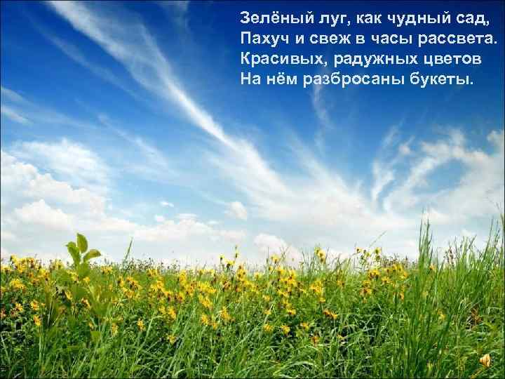Зелёный луг, как чудный сад, Пахуч и свеж в часы рассвета. Красивых, радужных цветов