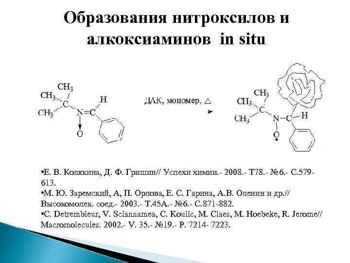 Образования нитроксилов и алкоксиаминов in situ • Е. В. Колякина, Д. Ф. Гришин// Успехи