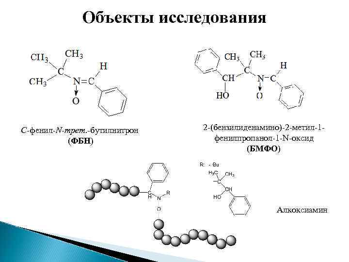 Объекты исследования С-фенил-N-трет. -бутилнитрон (ФБН) 2 -(бензилиденамино)-2 -метил-1 фенилпропанол-1 -N-оксид (БМФО) Алкоксиамин 