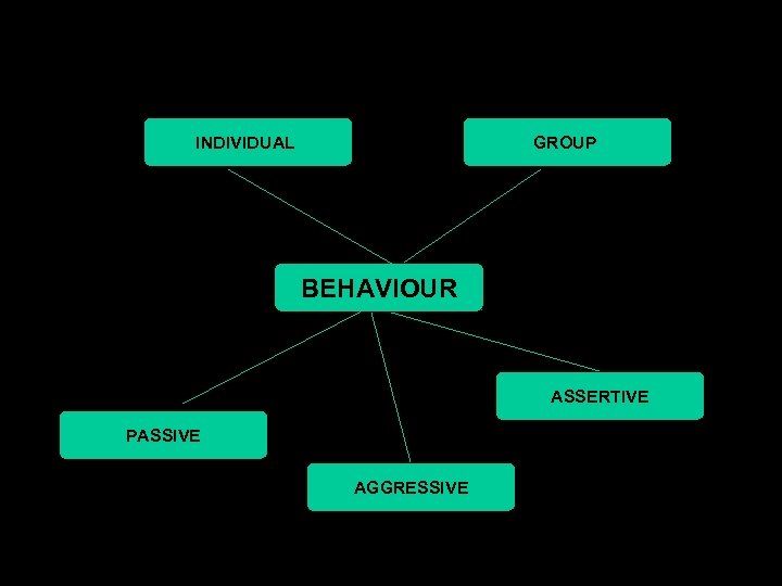 INDIVIDUAL GROUP BEHAVIOUR ASSERTIVE PASSIVE AGGRESSIVE 