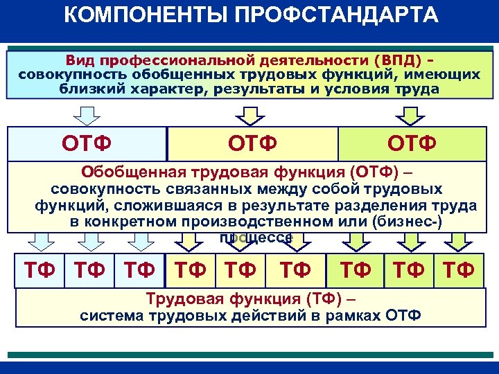 КОМПОНЕНТЫ ПРОФСТАНДАРТА Вид профессиональной деятельности (ВПД) - совокупность обобщенных трудовых функций, имеющих близкий характер,