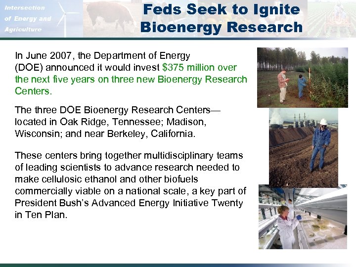 Feds Seek to Ignite Bioenergy Research In June 2007, the Department of Energy (DOE)