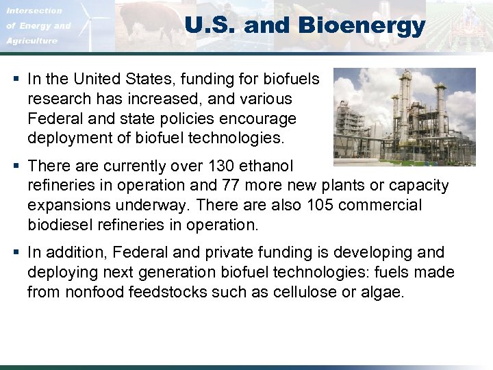 U. S. and Bioenergy § In the United States, funding for biofuels research has