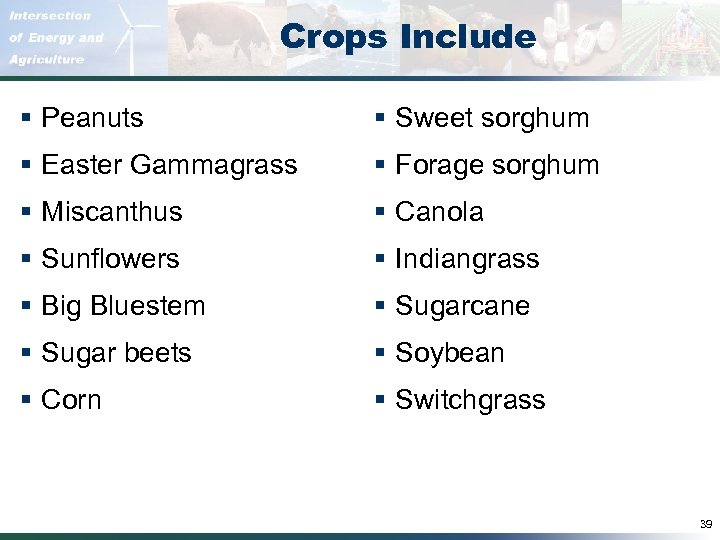Crops Include § Peanuts § Sweet sorghum § Easter Gammagrass § Forage sorghum §