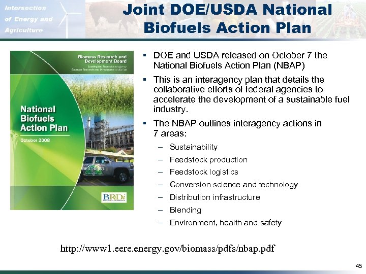 Joint DOE/USDA National Biofuels Action Plan § DOE and USDA released on October 7