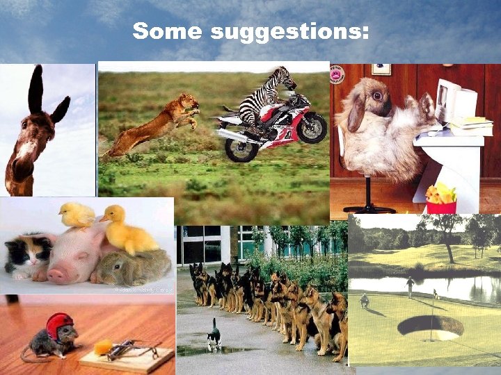 Some suggestions: 46 