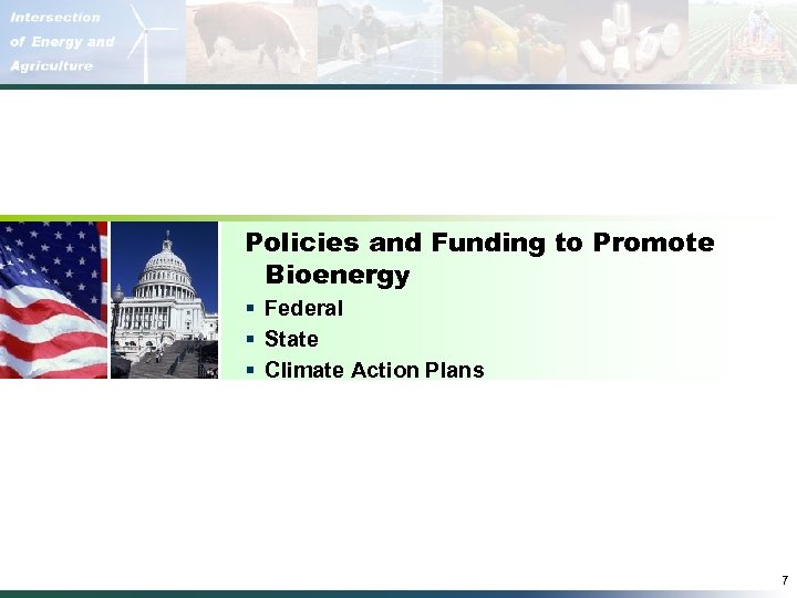 Policies and Funding to Promote Bioenergy § Federal § State § Climate Action Plans