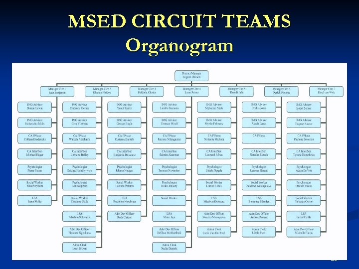 MSED CIRCUIT TEAMS Organogram 25 