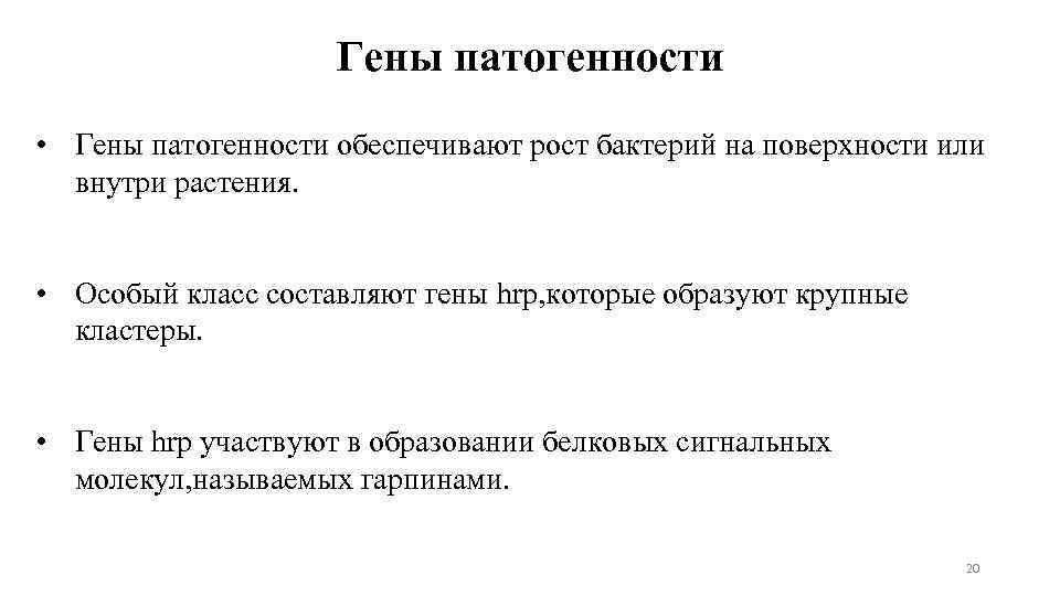 Гены патогенности • Гены патогенности обеспечивают рост бактерий на поверхности или внутри растения. •