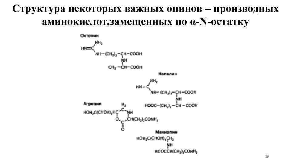 Cтруктура некоторых важных опинов – производных аминокислот, замещенных по α-N-остатку 29 