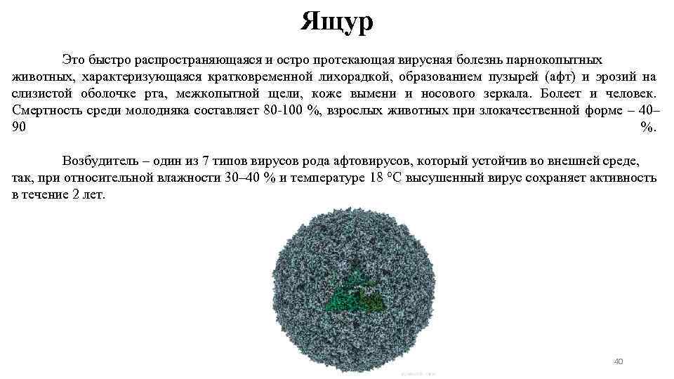 Ящур Это быстро распространяющаяся и остро протекающая вирусная болезнь парнокопытных животных, характеризующаяся кратковременной лихорадкой,