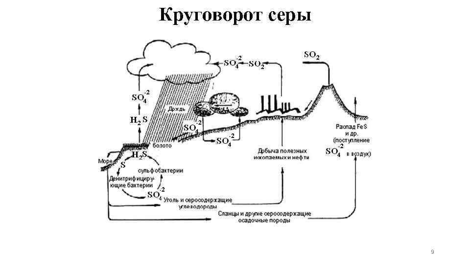 Картинка круговорот серы в природе