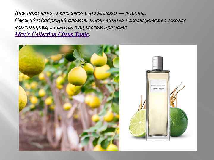 Еще одни наши итальянские любимчики — лимоны. Свежий и бодрящий аромат масла лимона используется