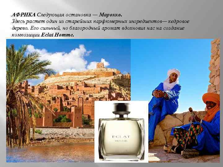 АФРИКА Следующая остановка — Марокко. Здесь растет один из старейших парфюмерных ингредиентов— кедровое дерево.