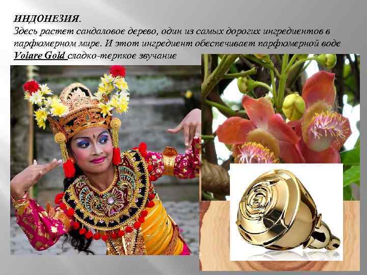 ИНДОНЕЗИЯ. Здесь растет сандаловое дерево, один из самых дорогих ингредиентов в парфюмерном мире. И