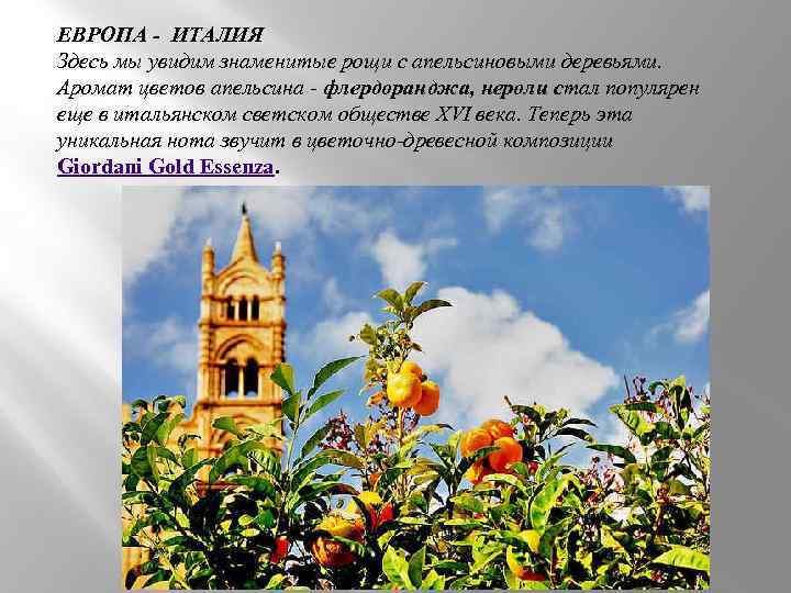 ЕВРОПА - ИТАЛИЯ Здесь мы увидим знаменитые рощи с апельсиновыми деревьями. Аромат цветов апельсина