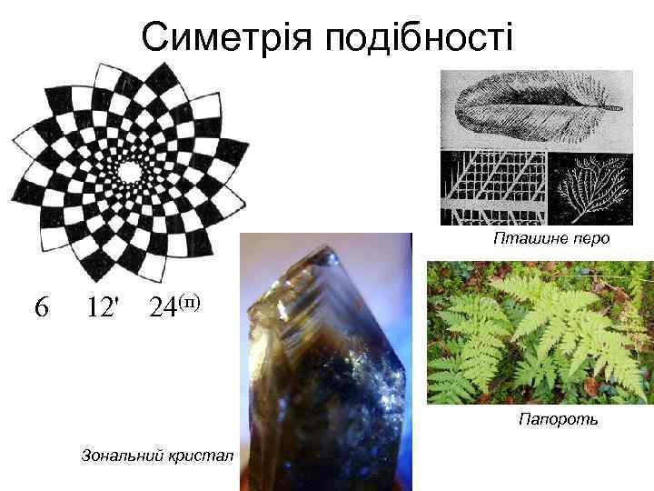 Симетрія подібності Пташине перо 6 12' 24(п) Папороть Зональний кристал 