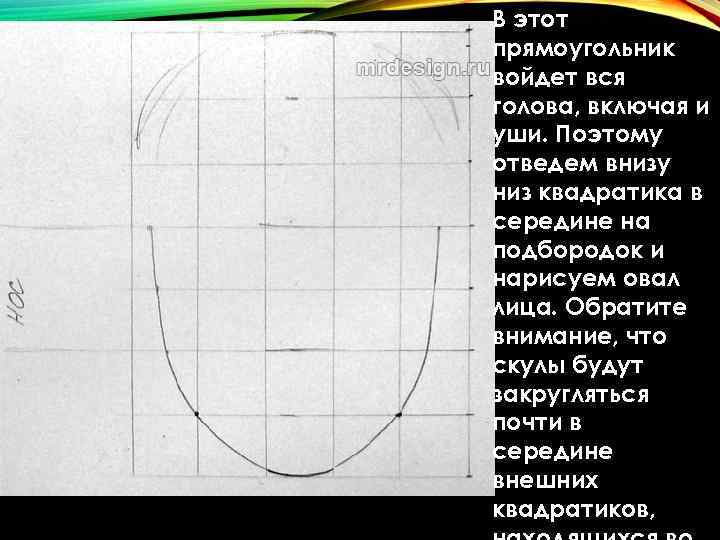В этот прямоугольник войдет вся голова, включая и уши. Поэтому отведем внизу низ квадратика