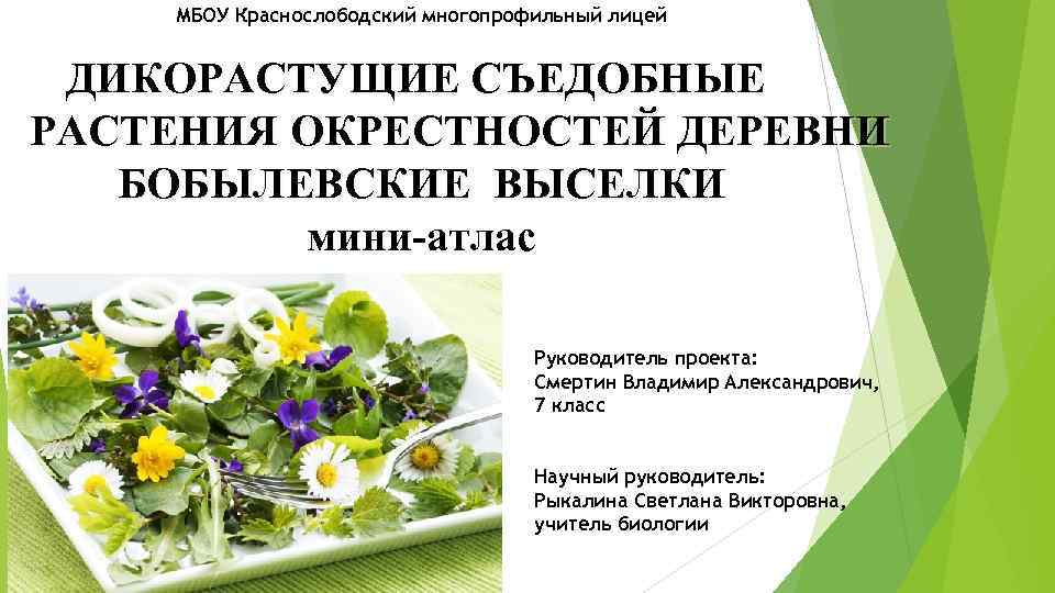 МБОУ Краснослободский многопрофильный лицей ДИКОРАСТУЩИЕ СЪЕДОБНЫЕ РАСТЕНИЯ ОКРЕСТНОСТЕЙ ДЕРЕВНИ БОБЫЛЕВСКИЕ ВЫСЕЛКИ мини-атлас Руководитель проекта: