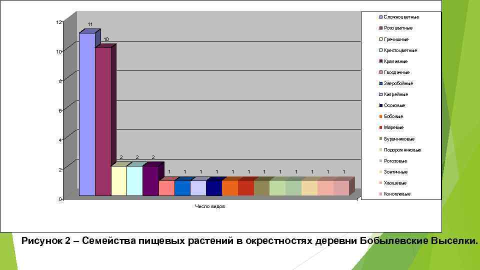 12 Сложноцветные 11 Розоцветные 10 Гречишные Крестоцветные 10 Крапивные Гвоздичные 8 Зверобойные Кипрейные Осоковые