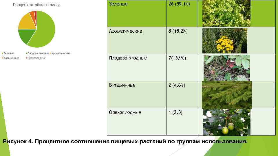 Зеленые 26 (59, 1%) Ароматические 8 (18, 2%) Плодово-ягодные 7(15, 9%) Витаминные 2 (4,