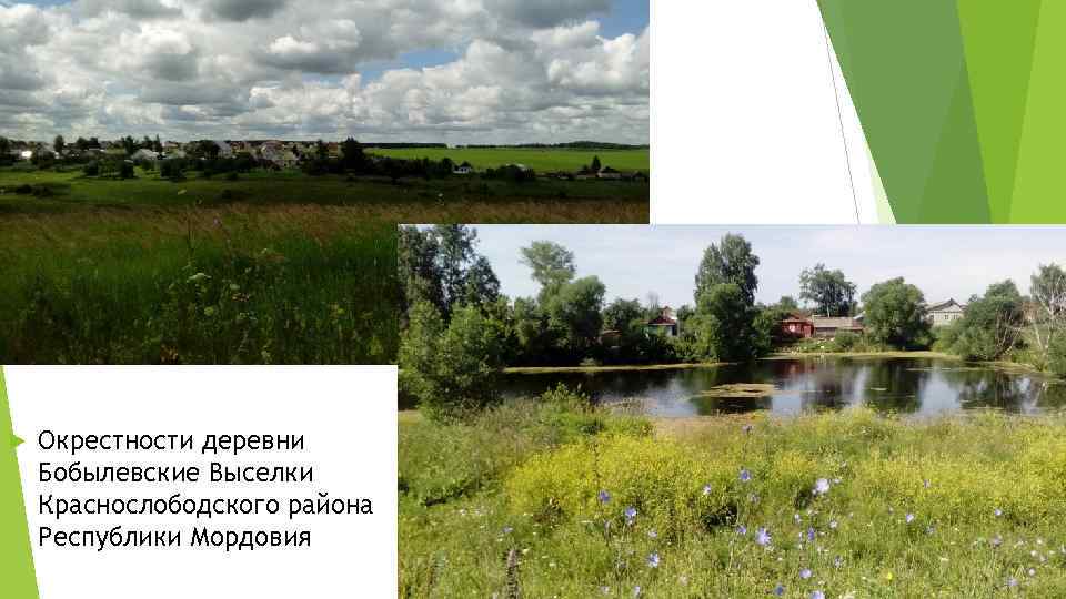  Окрестности деревни Бобылевские Выселки Краснослободского района Республики Мордовия 