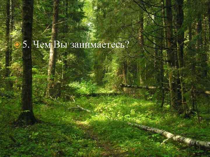  5. Чем Вы занимаетесь? 