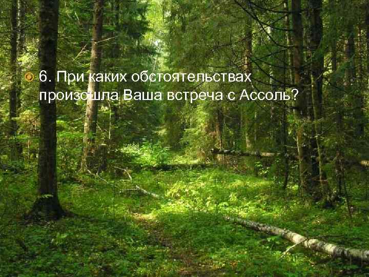  6. При каких обстоятельствах произошла Ваша встреча с Ассоль? 