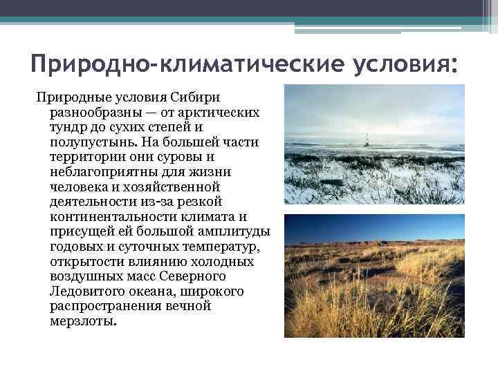 Природно-климатические условия: Природные условия Сибири разнообразны — от арктических тундр до сухих степей и