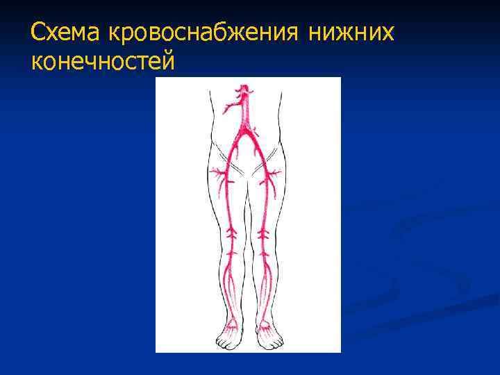 Атеросклероз нижних конечностей карта вызова скорой помощи