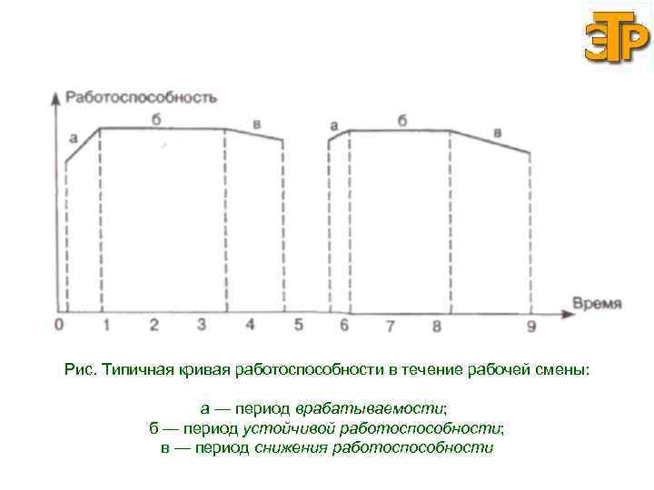 Рис. Типичная кривая работоспособности в течение рабочей смены: а — период врабатываемости; б —