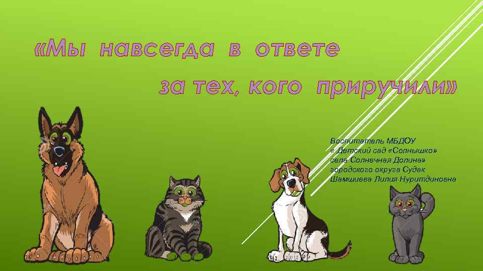 Ты в ответе за тех кого приручил проект