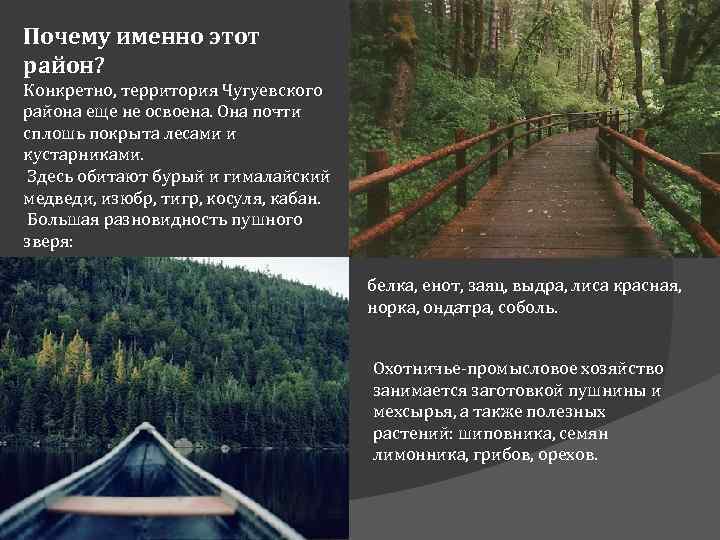 Почему именно этот район? Конкретно, территория Чугуевского района еще не освоена. Она почти сплошь