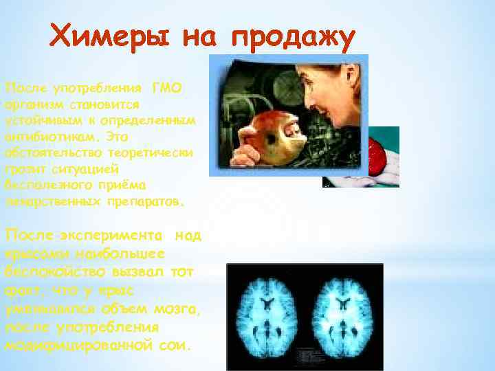 Химеры на продажу После употребления ГМО организм становится устойчивым к определенным антибиотикам. Это обстоятельство