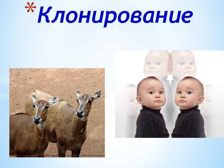 *Клонирование 