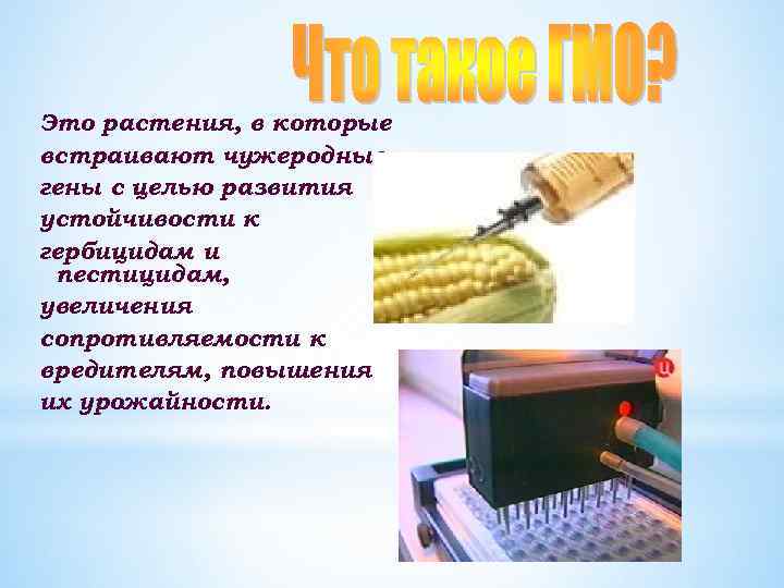 Это растения, в которые встраивают чужеродные гены с целью развития устойчивости к гербицидам и