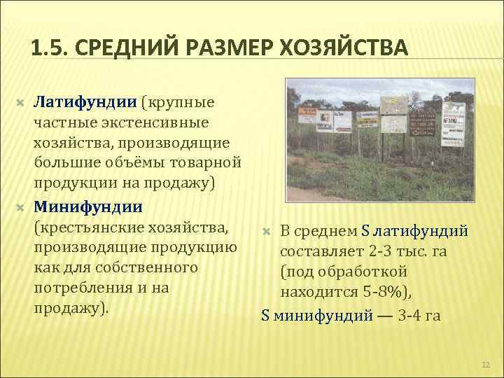 Почему средне. Среднее хозяйство. Размеры хозяйства. Минифундия. Хозяйства средних размеров.