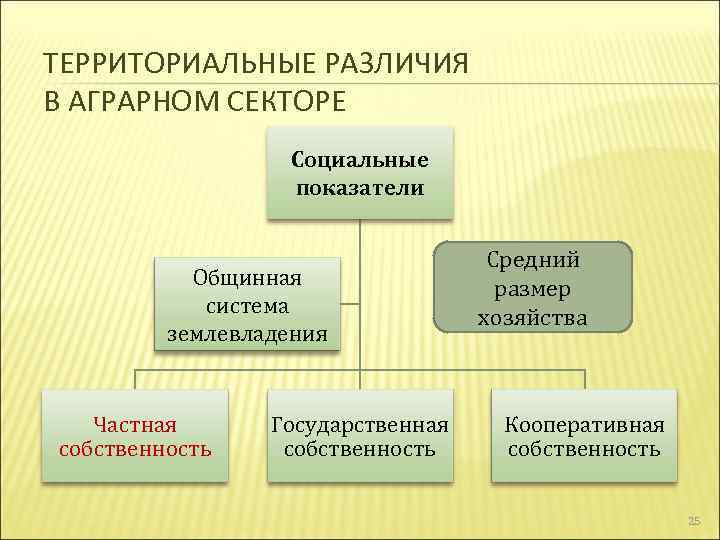 ТЕРРИТОРИАЛЬНЫЕ РАЗЛИЧИЯ В АГРАРНОМ СЕКТОРЕ Социальные показатели Общинная система землевладения Частная собственность Государственная собственность