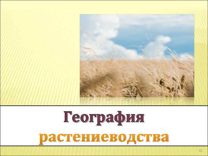 География растениеводства 52 