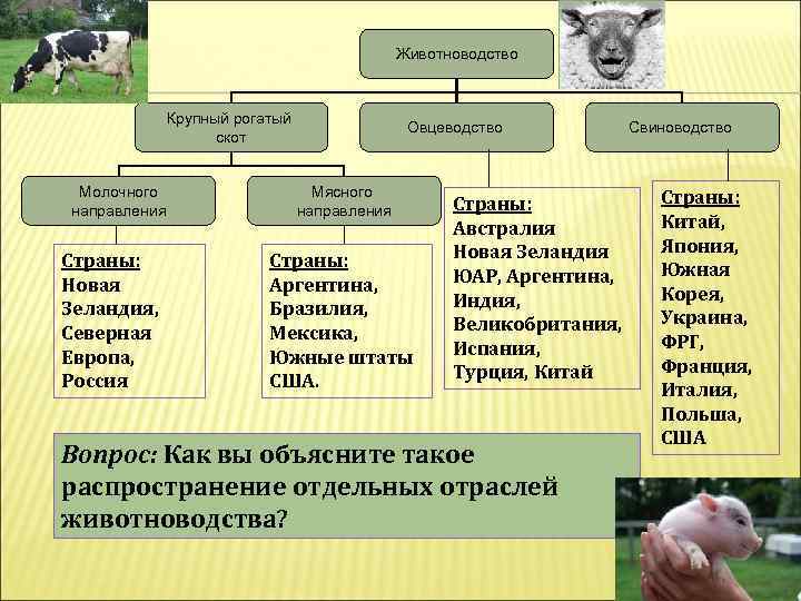 Факторы развития растениеводства