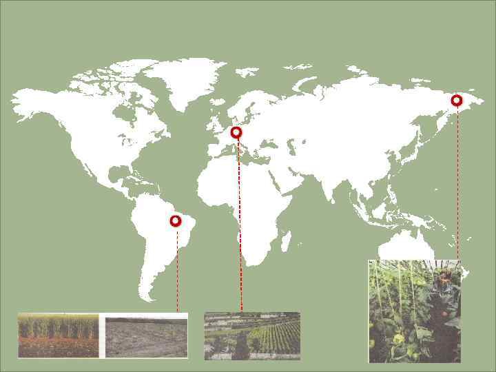 LOS ANGELES LONDON MOSCOW BEIJING SYDNEY 