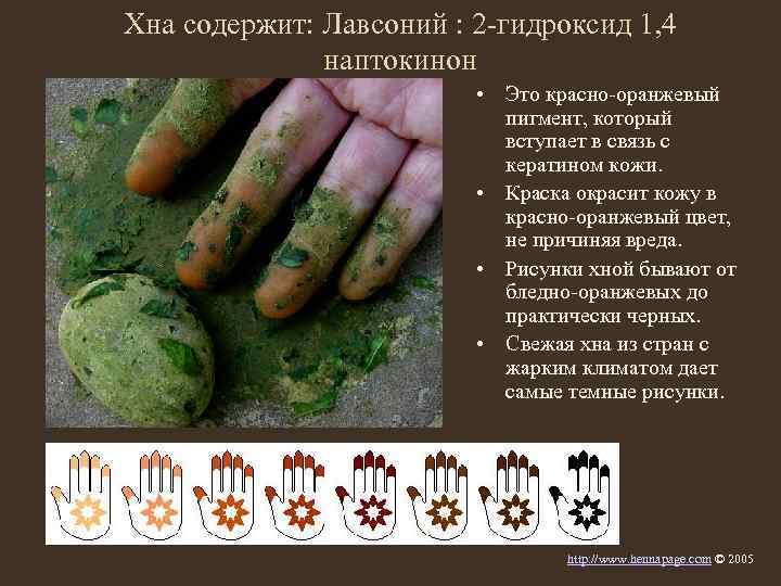 Хна содержит: Лавсоний : 2 -гидроксид 1, 4 наптокинон • Это красно-оранжевый пигмент, который