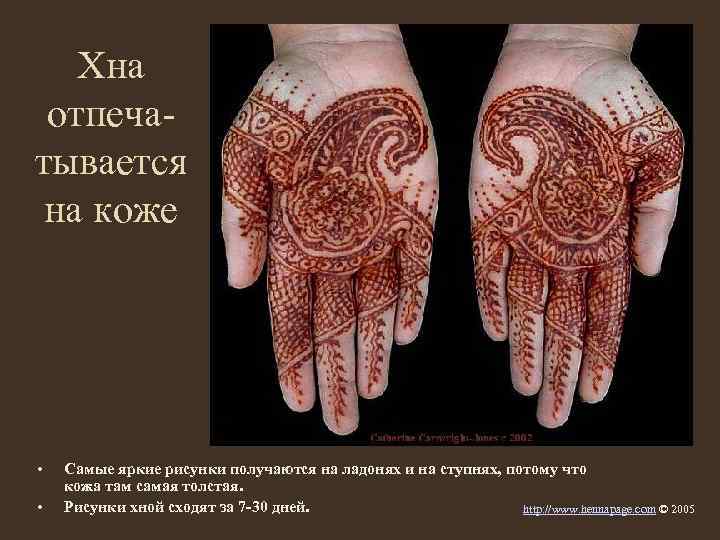 Хна отпечатывается на коже • • Самые яркие рисунки получаются на ладонях и на