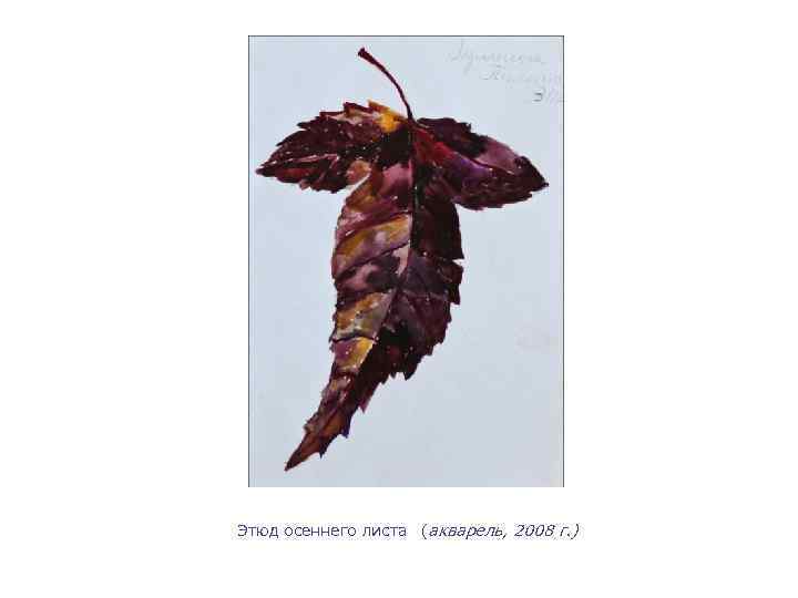 Этюд осеннего листа (акварель, 2008 г. ) 