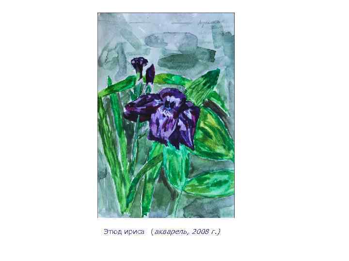 Этюд ириса (акварель, 2008 г. ) 