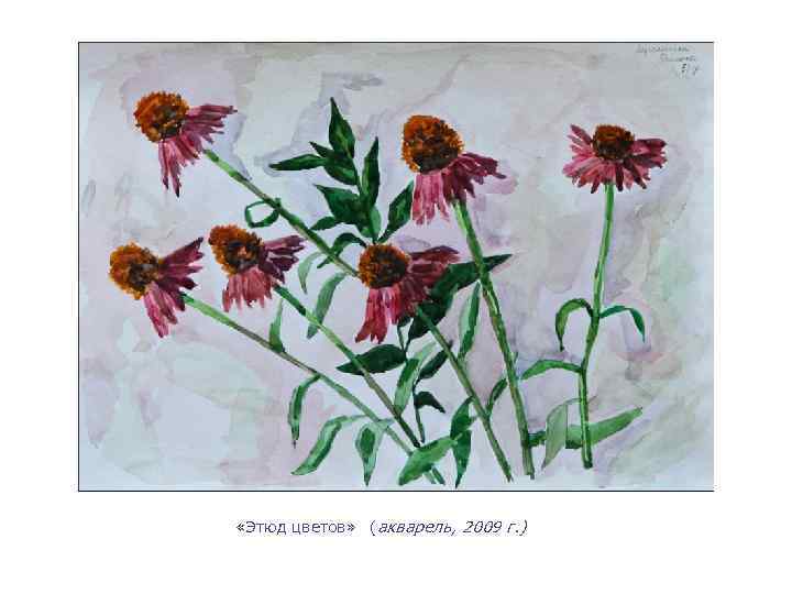  «Этюд цветов» (акварель, 2009 г. ) 