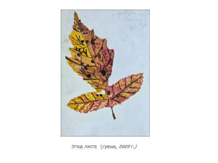 Этюд листа (гуашь, 2009 г. ) 