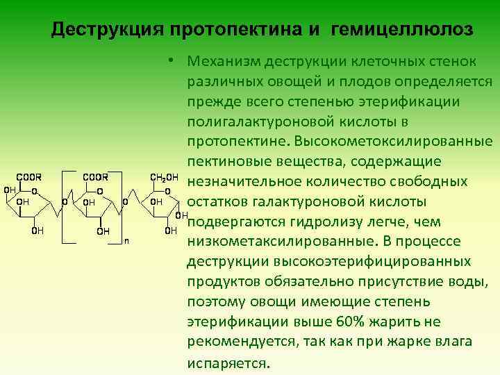 Деструкция протопектина и гемицеллюлоз • Механизм деструкции клеточных стенок различных овощей и плодов определяется