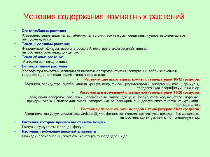 Условия содержания комнатных растений • • • Светолюбивые растения Агавы, некоторые виды пальм, гибискус,